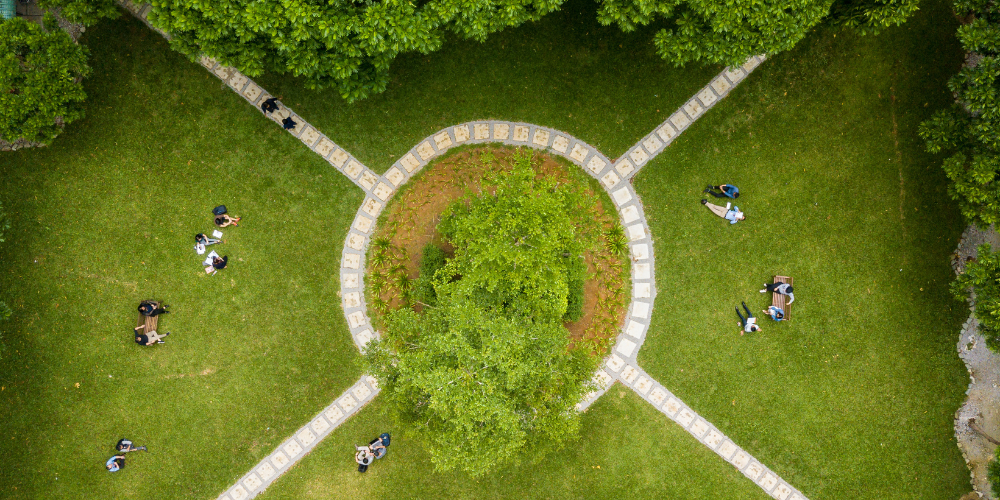 The centre courtyard is particularly inviting spot, offering a lush, green escape from the hustle and bustle of academic life.